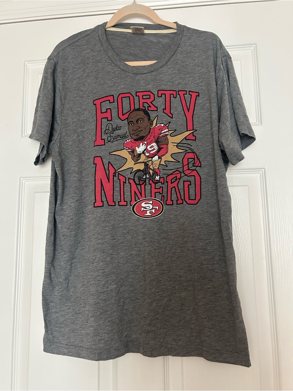 San Francisco 49ers Gray Graphic T-Shirt